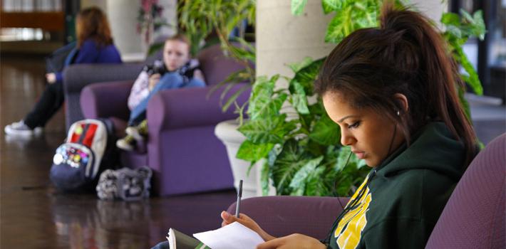 Students Studying in Armchairs Several female students sit in padded armchairs, intently studying.