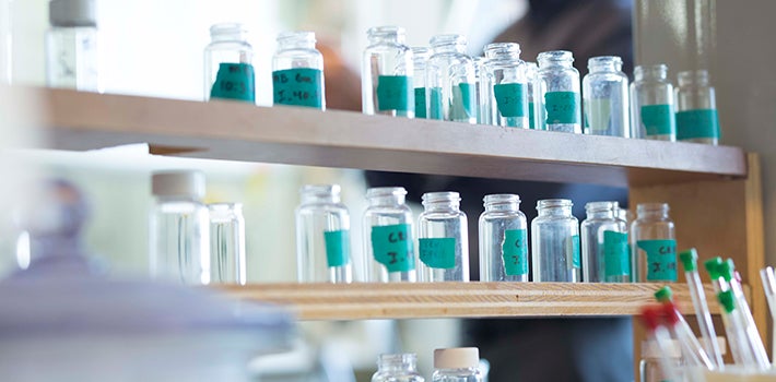 Small, labeled beakers and vials, lined up on shelves in a lab.