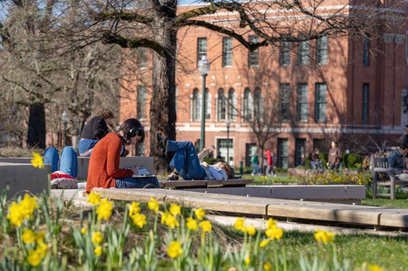 Students side outside studying with yellow daffodils in the foreground