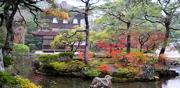 A traditional Japanese garden, complete with a pond and a tall pagoda in the background.